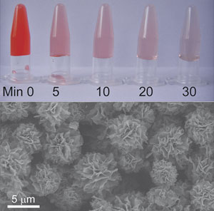 iron oxide nanoparticles 